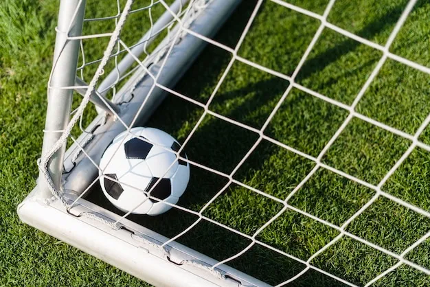 体育赛事数据分析